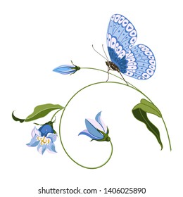 Vector illustration with forest plants, hand drawn blue bell flower and butterfly, composition for design on white background. Can be used for printing on t-shirt, greeting card.