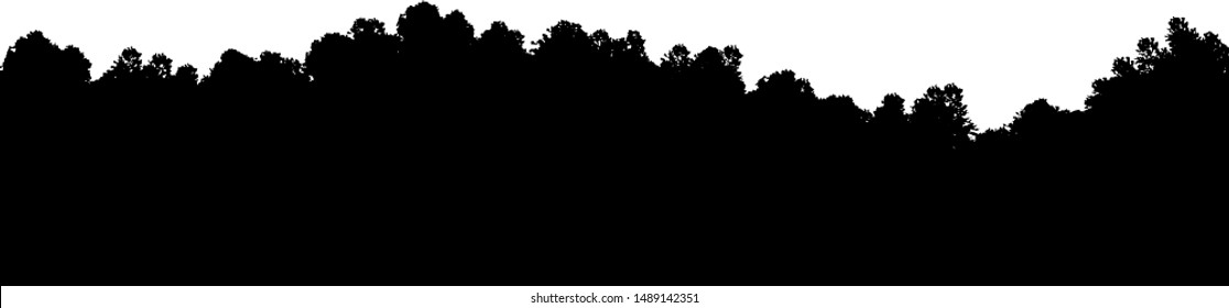 Vector illustration of forest seamless panorama. Hilly forest outdoor render