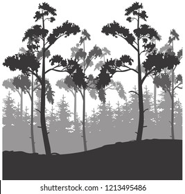 
vector illustration forest silhouette, 