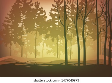 Vector illustration of a forest sunset orange, European mixed forests, the rising of the morning or evening foggy sunset red and yellow lighting, the atmosphere of the forest