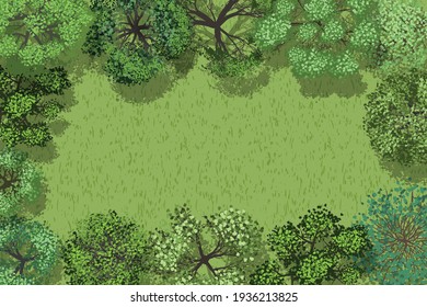 Vector Illustration. Forest Top View. Space For Text.