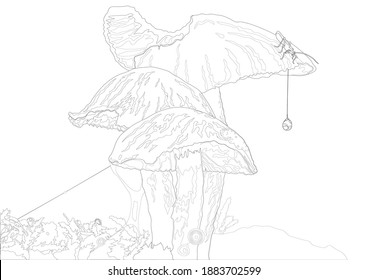 Vector illustration in the form of a contour depicting mushrooms with a hanging dew drop and a beetle sitting on a mushroom head.