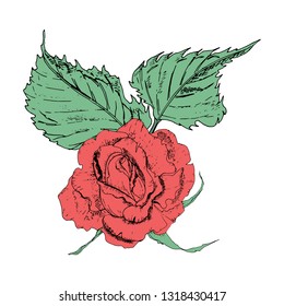 Vector illustration in the form of flowers of roses and leaves of different shapes on a white background. Red roses and green leaves doodle drawing.