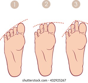 vector illustration of a Form of toes