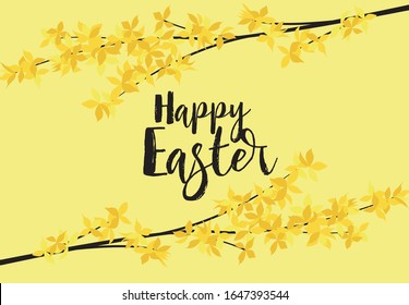 Vector illustration of Forsythia flower from tree. Spring landscape, nature background. Frame decoration yellow flowers card Happy Easter. Golden Rain