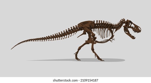 ティラノサウルス イラスト 骨 の画像 写真素材 ベクター画像 Shutterstock