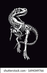 vector illustration of fossil tyrannosaurus rex