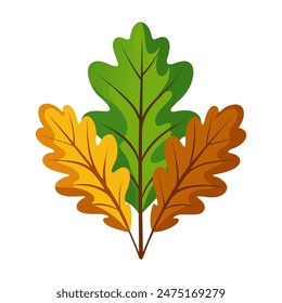 Vector illustration of four autumn oak leaves