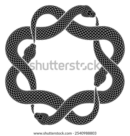 Vector illustration of four black snakes biting their tails intertwined in the shape of an octagram sign. Ouroboros symbol silhouette. Isolated serpent tattoo design.