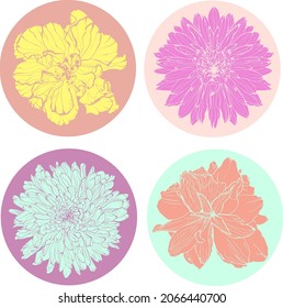 Vektorgrafik von vier hellen Blumen in Kreisen (Lilie, Dahlien, Chrysanthemum, Rose) sozialen Medien Element, für bunte Geschichte, Titelsymbole (Pop-Art-Stil)