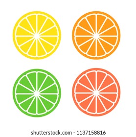 Vector illustration of four citrus slices