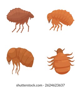 Ilustración vectorial de cuatro pulgas de dibujos animados distintos, aislados sobre un fondo blanco