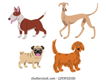 Vector illustration of four dogs of differents breeds: a bull terrier, a greyhound, a pug dog and a golden retriever, cartoon style.