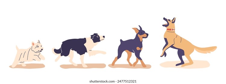 Vector Illustration Of Four Dogs Participating In Training Session In A Yard. Image Depicts Different Dog Breeds