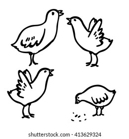 Vector illustration with four doodle cute chicken. Domestic doodle bird. Funny handy drawn chicken. Cartoon chicken. Doodle black chicken on white background.