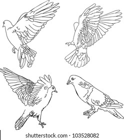 Vector illustration. Four doves