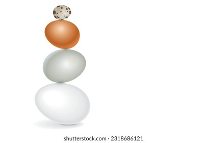 Vector illustration of four eggs standing on top of each other,quail eggs,chicken eggs,duck eggs,goose eggs,stack of eggs,isolated on white.Natural protein that can easily be eaten from poultry.