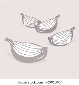 Vector illustration of four garlic cloves