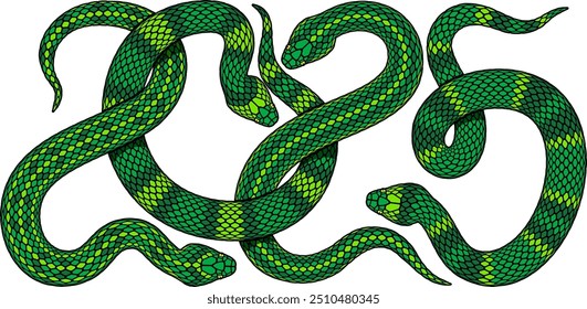 Vector illustration of four green snakes intertwined in shape of number 2025. Isolated serpent silhouette design combined as numeric symbol for 2025 Chinese New Year celebration with snake zodiac sign