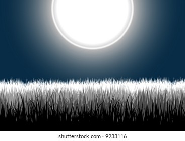 Vector illustration of four highly-detailed separated groups of grass outlines on a gradient white moon night sky.