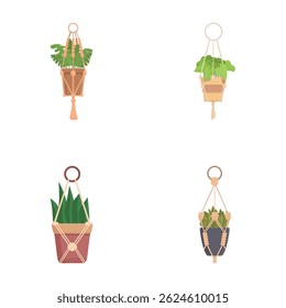 Vector illustration of four indoor plants in different hanging pots isolated on a white background