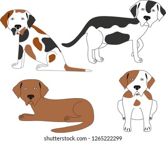 vector illustration with four puppies in different colors