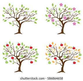 vector illustration of four season apple trees.