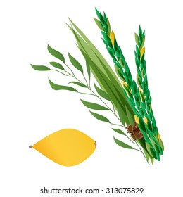 Vector illustration of four species - palm, willow, myrtle , lemon - symbols of Jewish holiday Sukkot. Holiday   illustration.