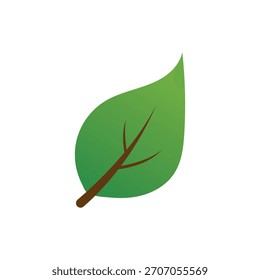 Ilustración vectorial de cuatro hojas estilizadas en verde