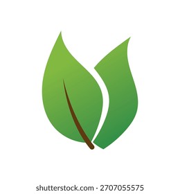 Ilustración vectorial de cuatro hojas estilizadas en verde