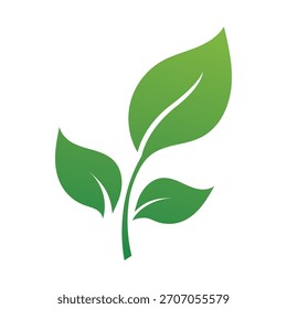 Ilustración vectorial de cuatro hojas estilizadas en verde