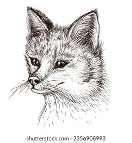 Vektorgrafik eines Fuchs im Gravstil
