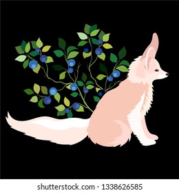 Vector illustration Fox fenek.  Forest animal