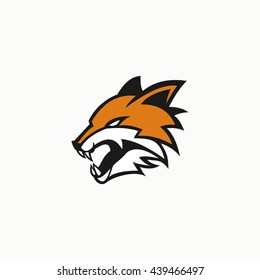 Vector illustration of fox head logo design template. flat style