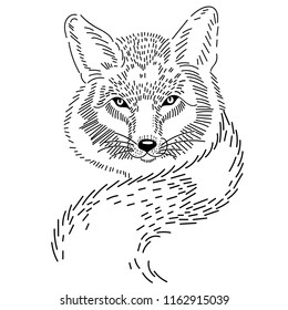 Vector illustration of a fox. Sketch tattoo.