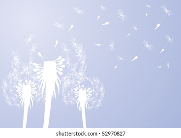 Vector illustration of fragile dandelions on windy day