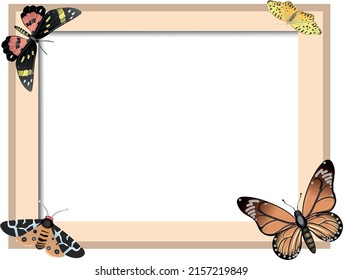 Vector illustration frame with butterflies