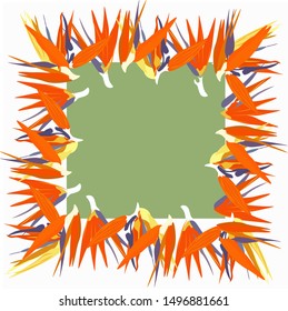Vector illustration frame of flowers strelitzia.  Isolated on white background.