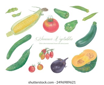 Vector illustration frame of hand drawn summer vegetables