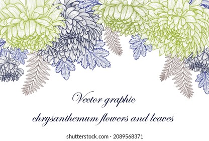 Vector illustration frame horizontal card template. Graphic color linear Chrysanthemum flowers and leaves