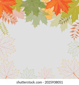 Vector illustration. Frame made of autumn leaves on a light background.