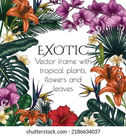 Vector illustration of a frame made of exotic plants. Graphic colored tropical flowers and leaves. Monstera, plumeria, orchid, palm and banana leaves, hibiscus, aralia, tiger lily, strelitzia