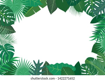 Vector illustration of frame made of green tropical leaves on white background