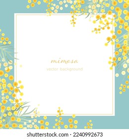 Vector illustration frame of mimosa.