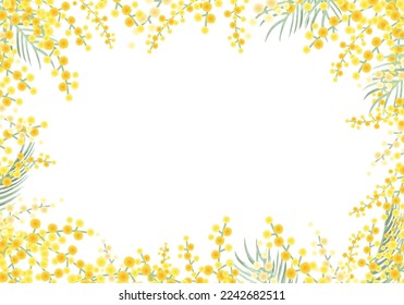 Vector illustration frame of mimosa.