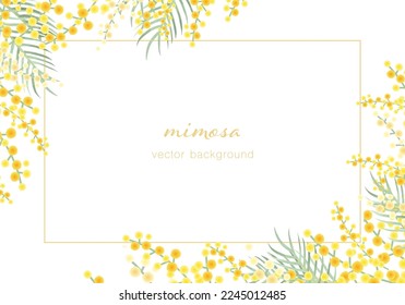 Vector illustration frame of mimosa.