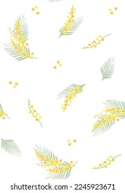 Marco de ilustración vectorial de mimosa.