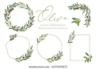 
Vector illustration frame of olive leaves