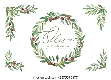 
Vector illustration frame of olive leaves