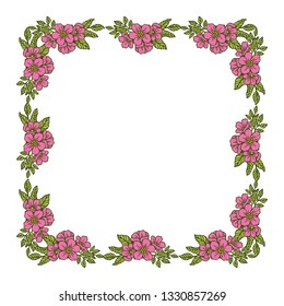 Vector illustration frame of pink flowers blooms hand drawn